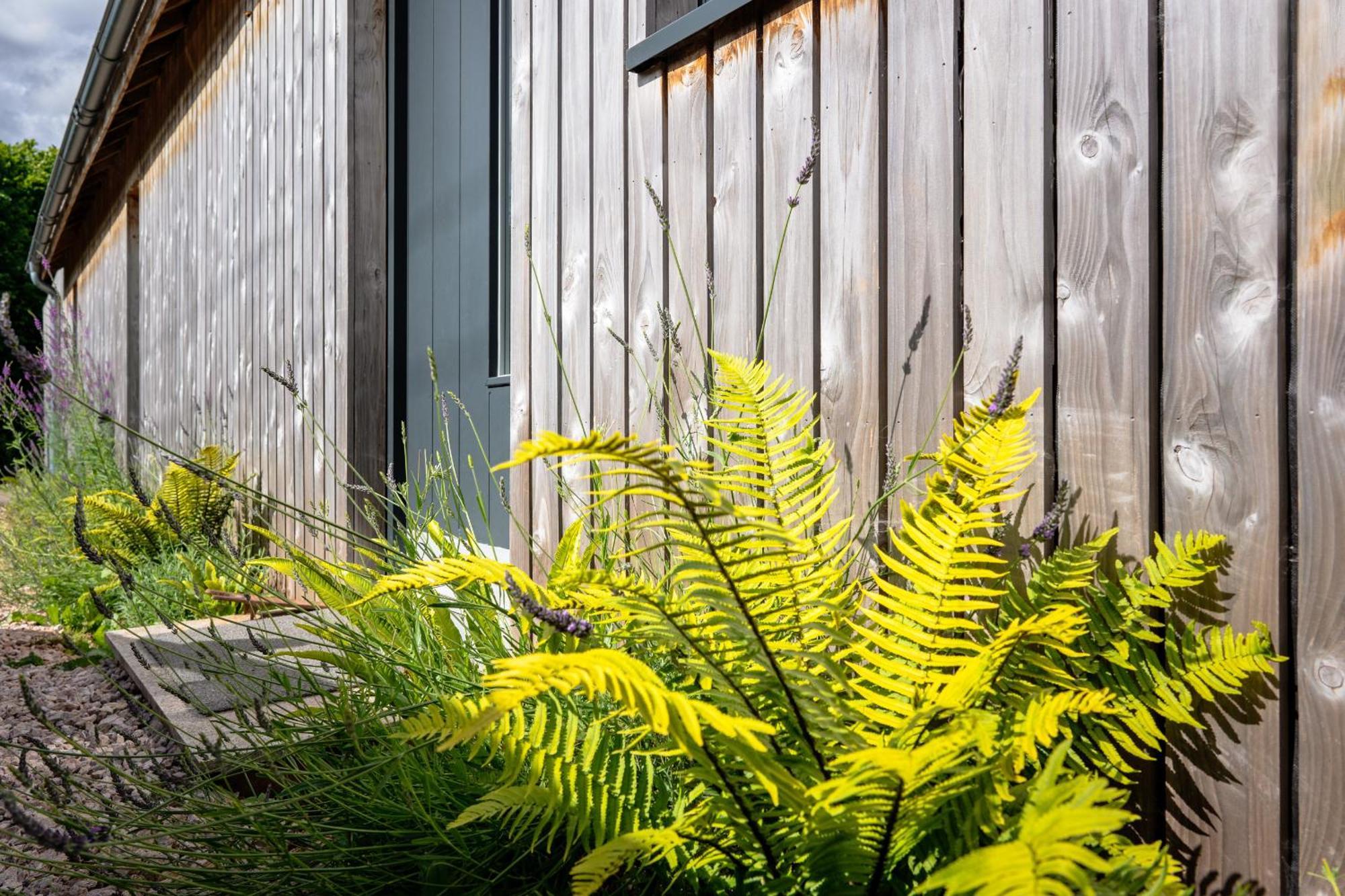 Sunnybrook - A Luxurious Carbon Neutral House Close To Beach, Shaldon Εξωτερικό φωτογραφία